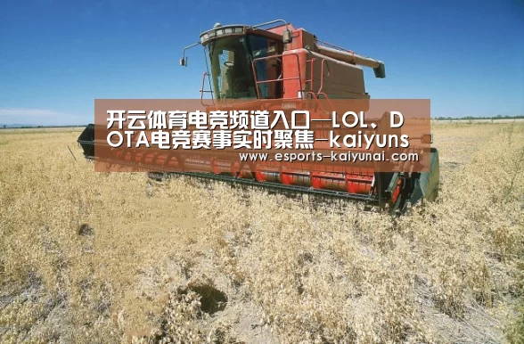 产品名称三