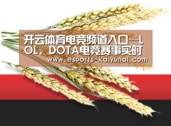 开云体育电竞频道入口—LOL、DOTA电竞赛事实时聚焦-kaiyunsport