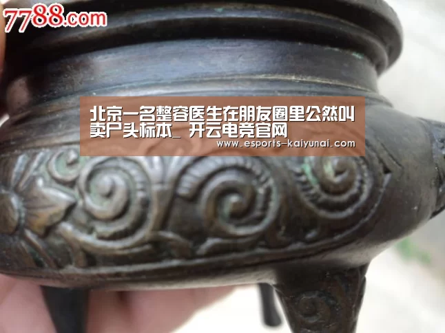  开云电竞官网
