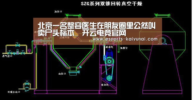  开云电竞官网