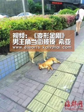  kaiyun电竞