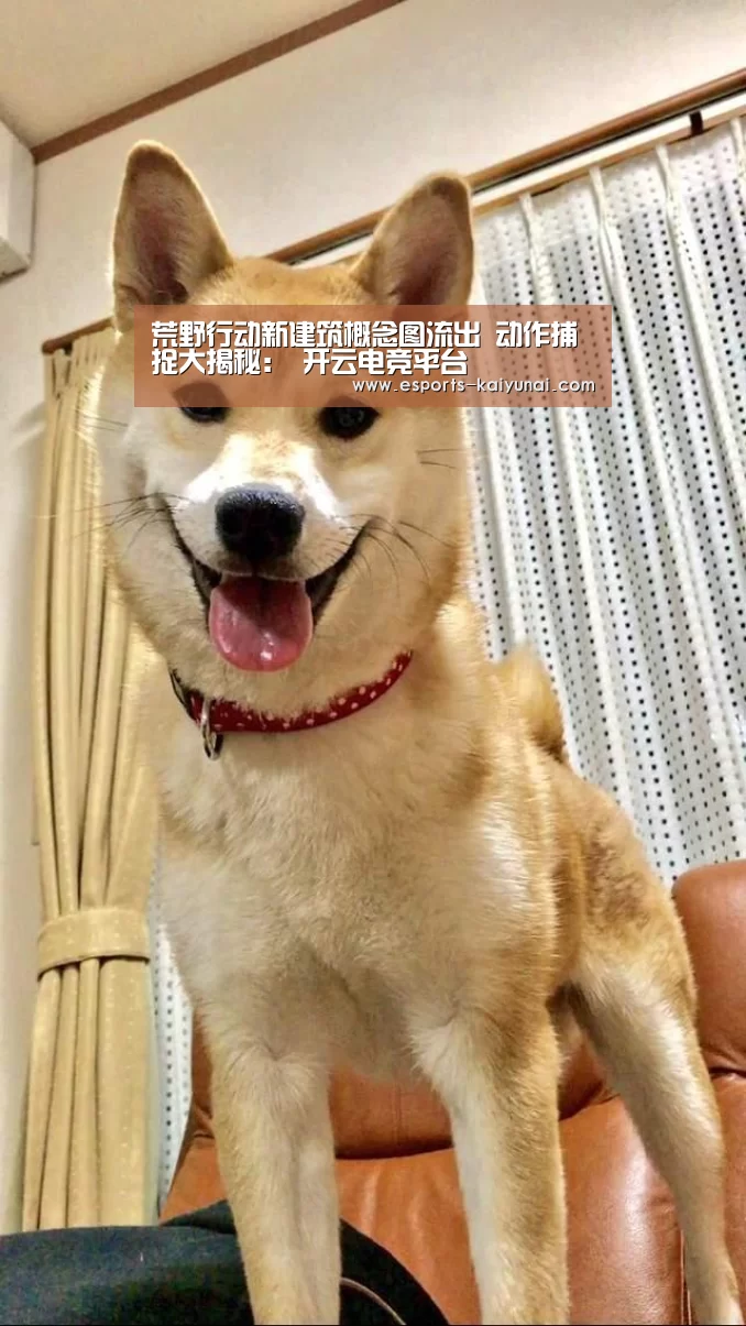  kaiyun电竞