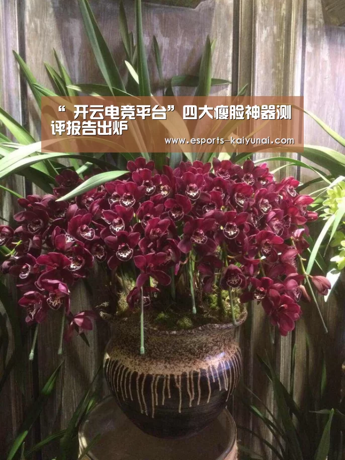 “ 开云电竞平台”四大瘦脸神器测评报告出炉(图4) 开云电竞平台