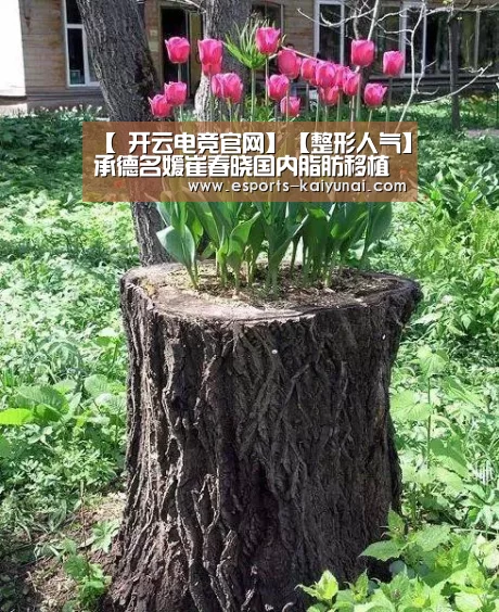 【 开云电竞官网】【整形人气】承德名媛崔春晓国内脂肪移植技术领跑者(图2) 开云电竞平台