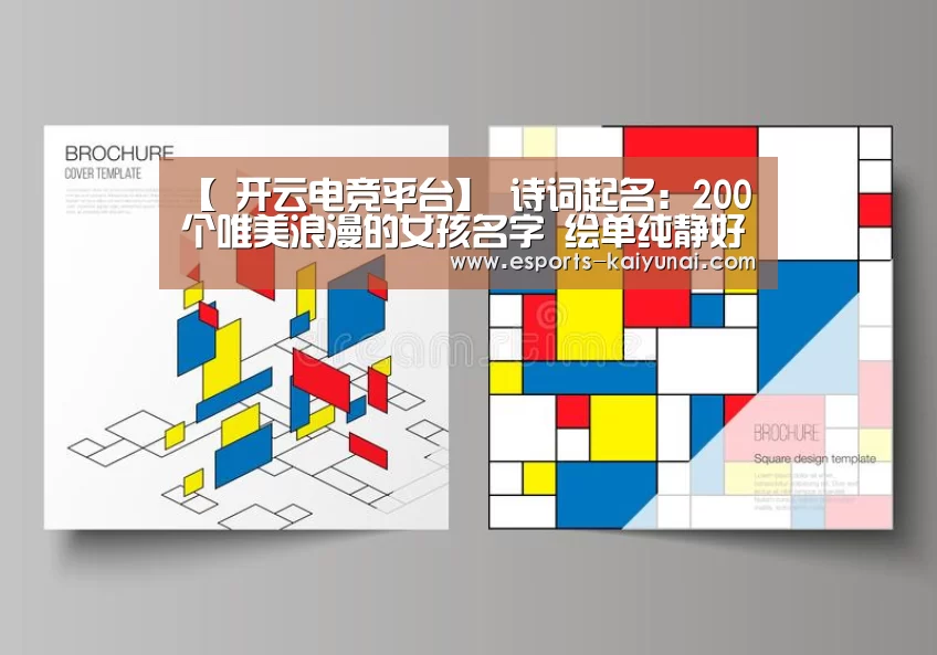  开云电竞官网