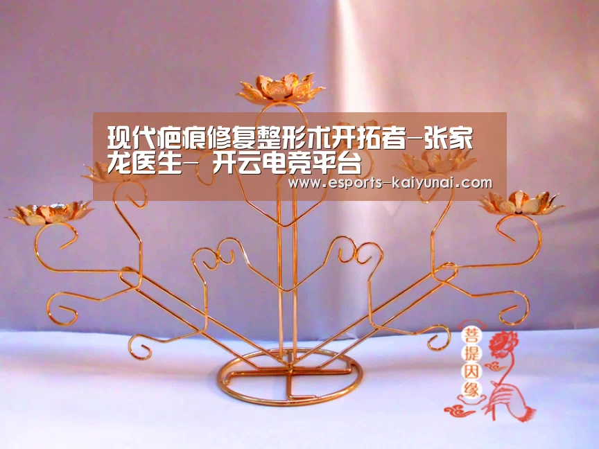 现代疤痕修复整形术开拓者-张家龙医生- 开云电竞平台(图3) 开云电竞平台