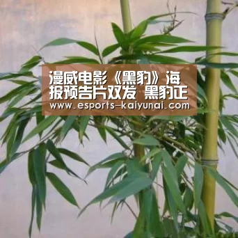 漫威电影《黑豹》海报预告片双发 黑豹正襟危坐尽显王者之势: 开云电竞平台(图3) 开云电竞