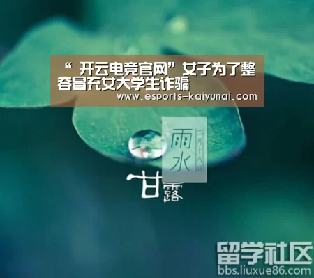  开云电竞平台