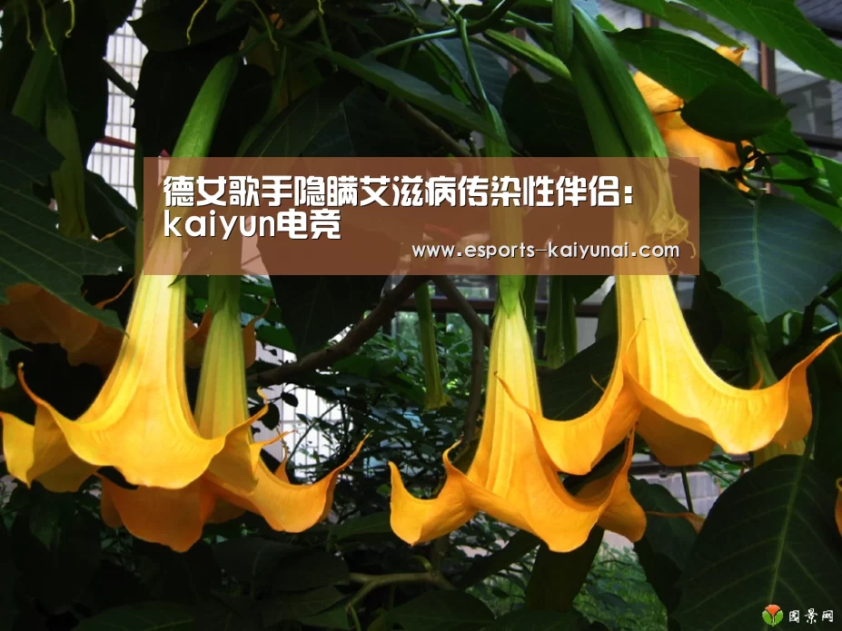 德女歌手隐瞒艾滋病传染性伴侣: kaiyun电竞(图2) 开云电竞官网