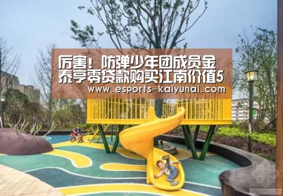  开云电竞官网