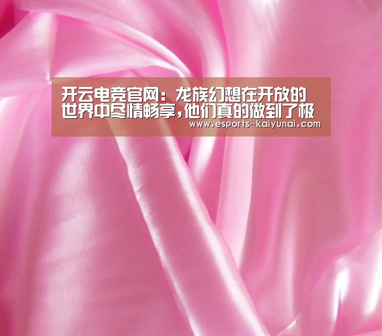  开云电竞平台