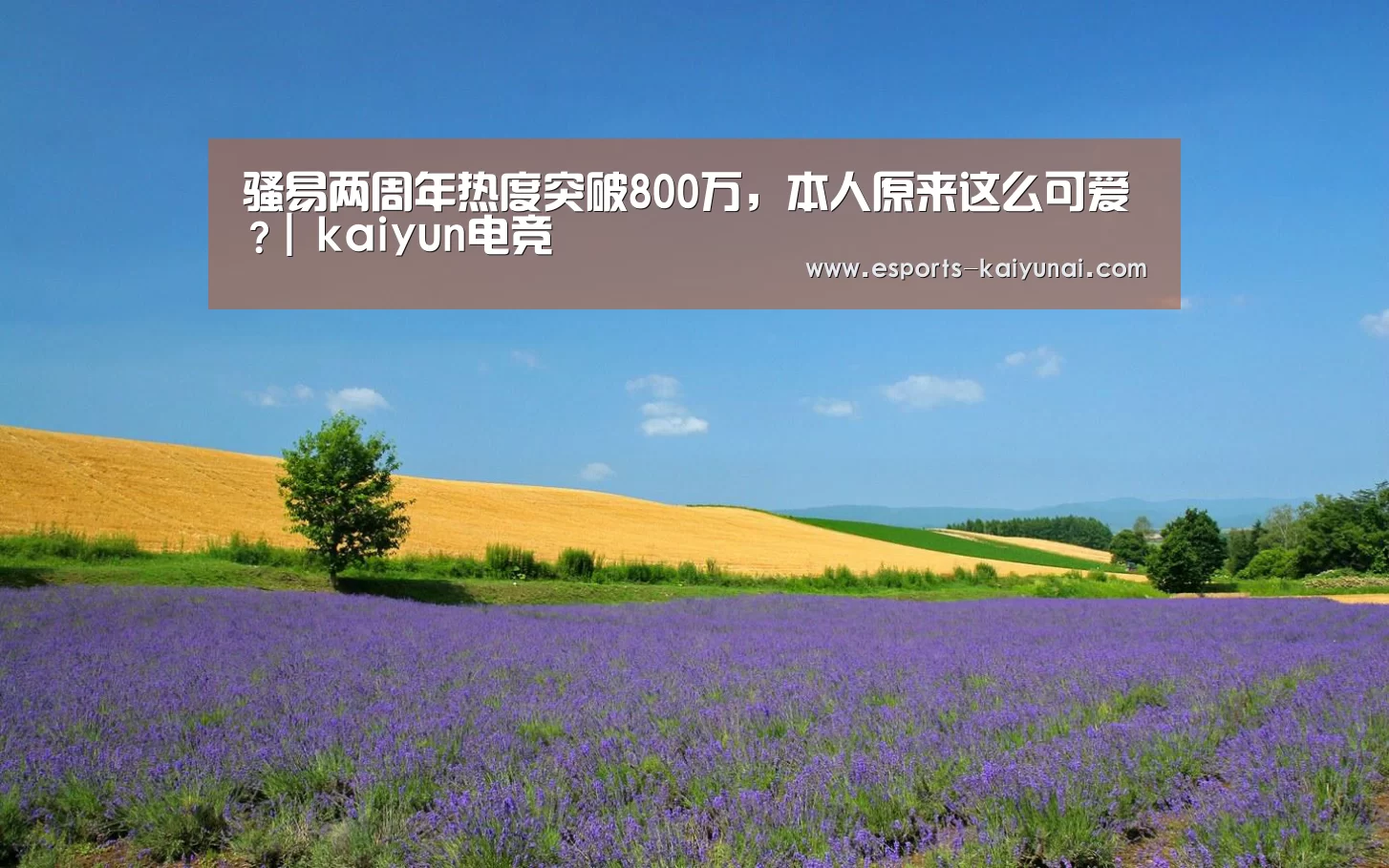 骚易两周年热度突破800万,本人原来这么可爱?| kaiyun电竞(图4) kaiyun电竞