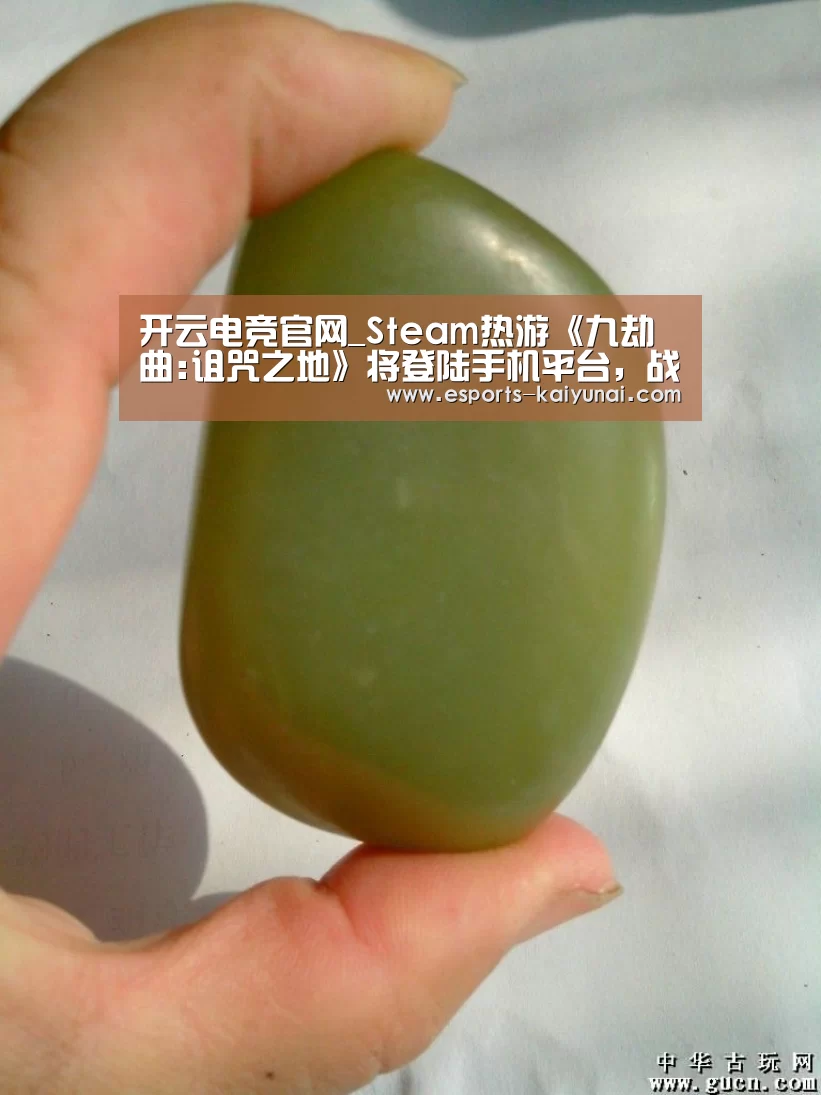  开云电竞官网