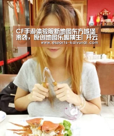  开云电竞官网
