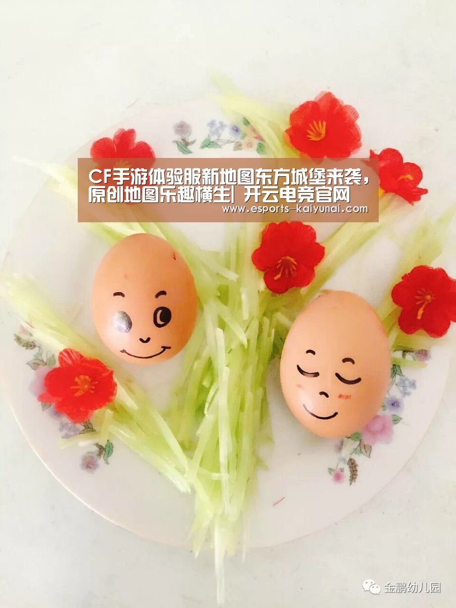  开云电竞官网