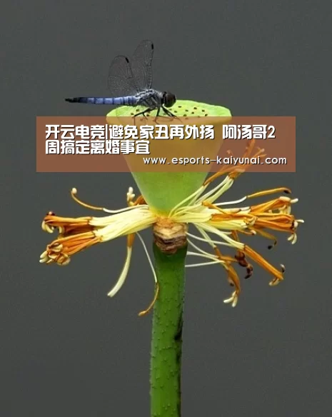 开云电竞|避免家丑再外扬 阿汤哥2周搞定离婚事宜(图2) 开云电竞