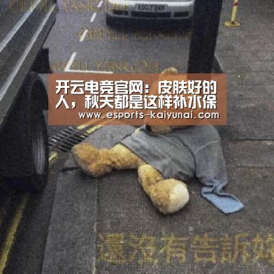  开云电竞官网